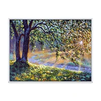 Tree by River First Rays of Afternoon Sun  Wall Art