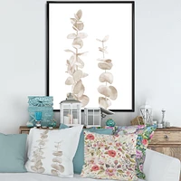 Beige Eucalyptus Branches on White  Wall Art