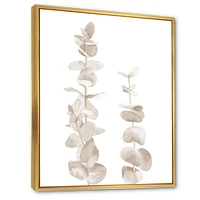 Beige Eucalyptus Branches on White  Wall Art