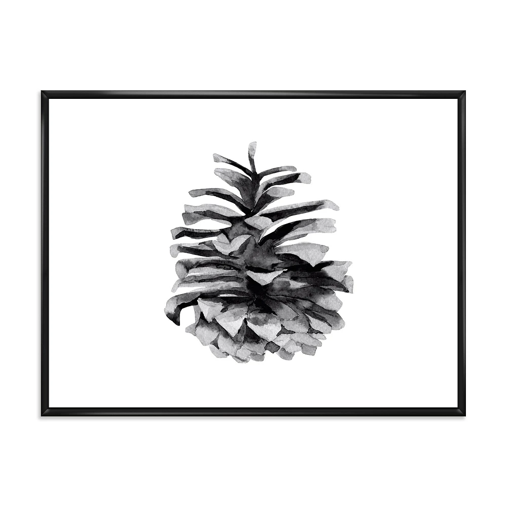 Toile « Conifer Cone Monochrome