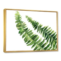 Fern Leaves Detail I  Wall Art