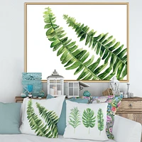 Toile « Fern Leaves Detail I