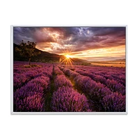 Sunrise & Dramatic Clouds Over Lavender Field IV  Wall Art