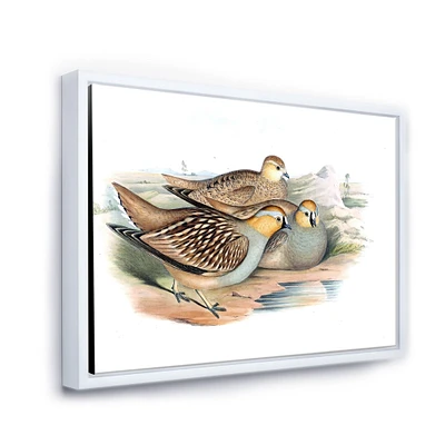 Vintage Birds The Wild III  Wall Art