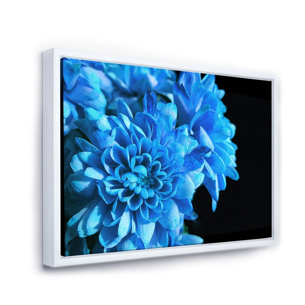 Detail of Blue Flowers on Black I  Wall Art