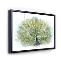 Peacock Bird  Wall Art