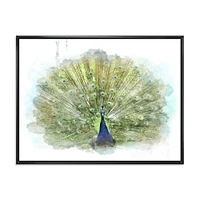 Peacock Bird  Wall Art