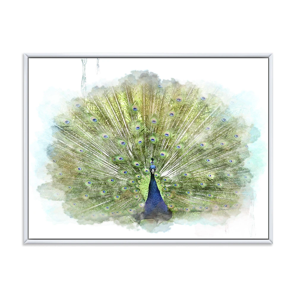 Peacock Bird  Wall Art