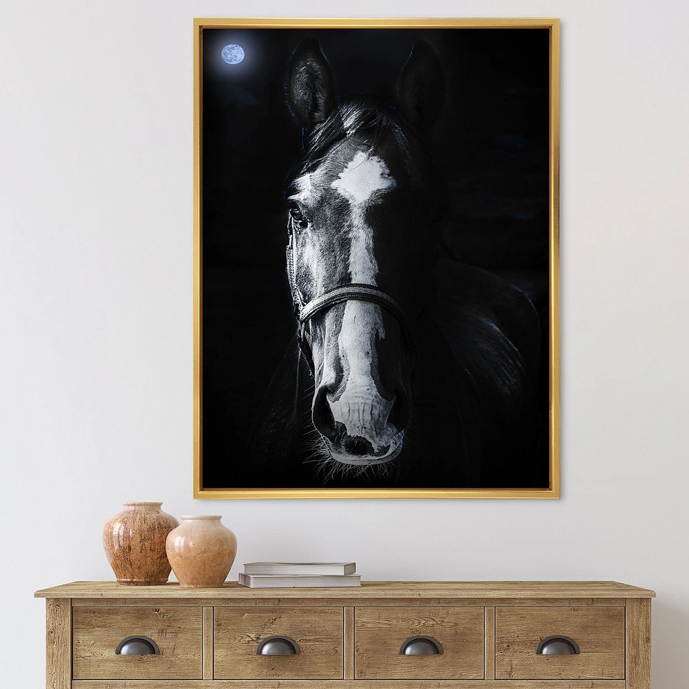 Toile « Horse Staring Sinister »