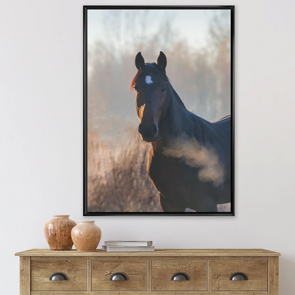 Portrait of A Horse on An Autumn Morning  Wall Art