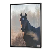 Portrait of A Horse on An Autumn Morning  Wall Art