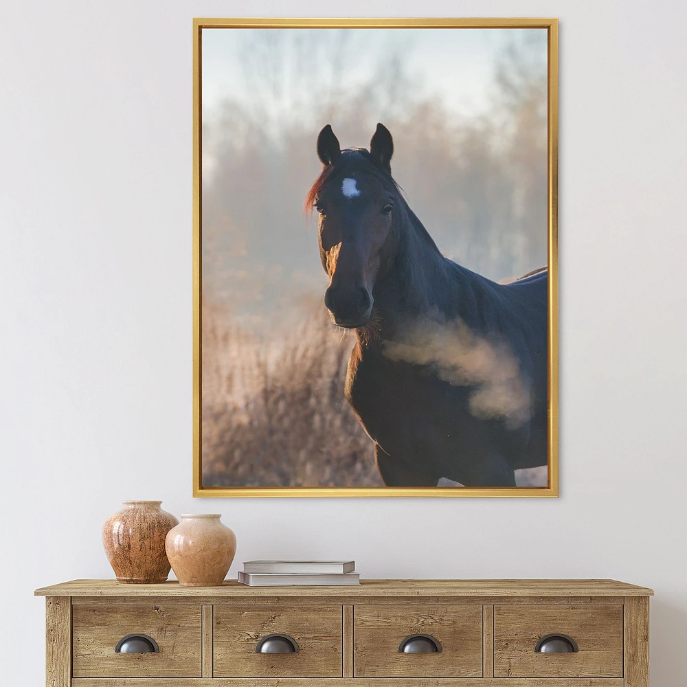 Portrait of A Horse on An Autumn Morning  Wall Art