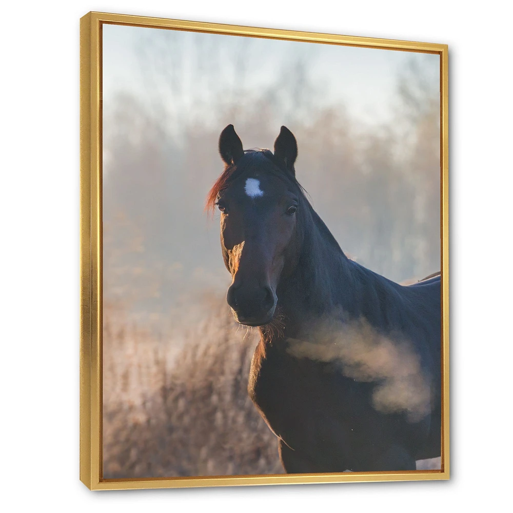 Portrait of A Horse on An Autumn Morning  Wall Art