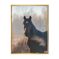 Portrait of A Horse on An Autumn Morning  Wall Art