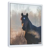 Portrait of A Horse on An Autumn Morning  Wall Art