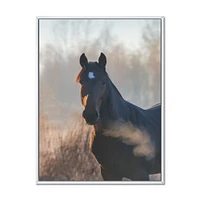 Portrait of A Horse on An Autumn Morning  Wall Art