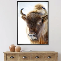 Portrait of Wild Bison Wall Art