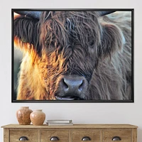 Scottish Cow on Moorland III  Canvas Wall Art Print