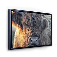 Scottish Cow on Moorland III  Canvas Wall Art Print