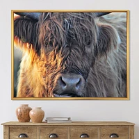 Scottish Cow on Moorland III  Canvas Wall Art Print