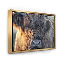 Scottish Cow on Moorland III  Canvas Wall Art Print