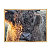 Scottish Cow on Moorland III  Canvas Wall Art Print