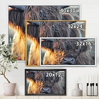 Scottish Cow on Moorland III  Canvas Wall Art Print