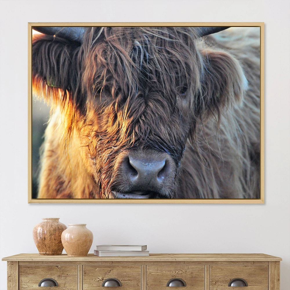 Scottish Cow on Moorland III  Canvas Wall Art Print