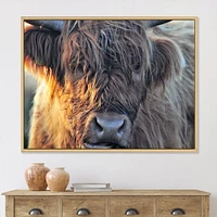 Scottish Cow on Moorland III  Canvas Wall Art Print