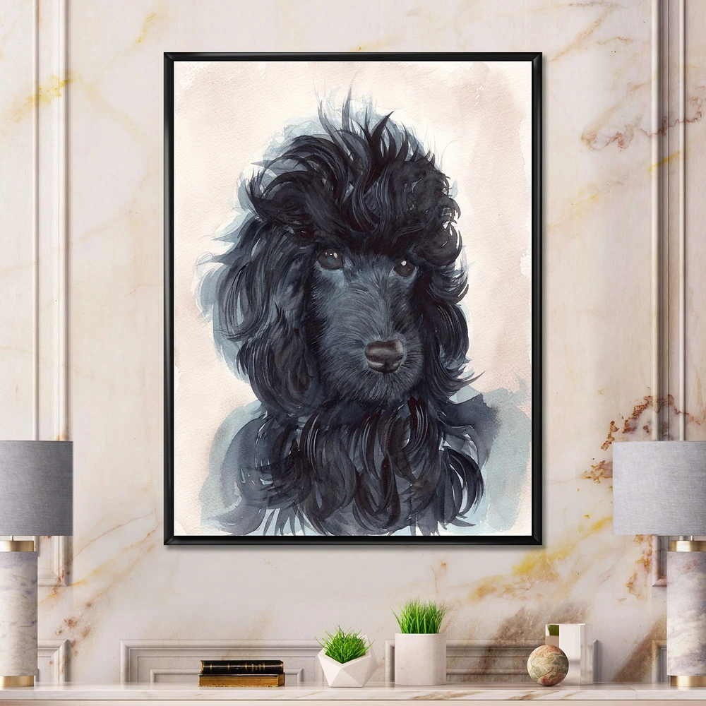 Toile imprimée « Portrait of The Black Poodle Puppy with Curly Coat »