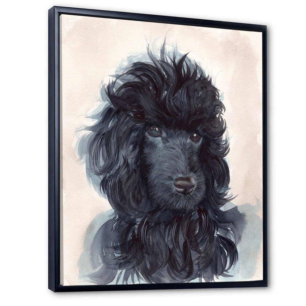 Toile imprimée « Portrait of The Black Poodle Puppy with Curly Coat »