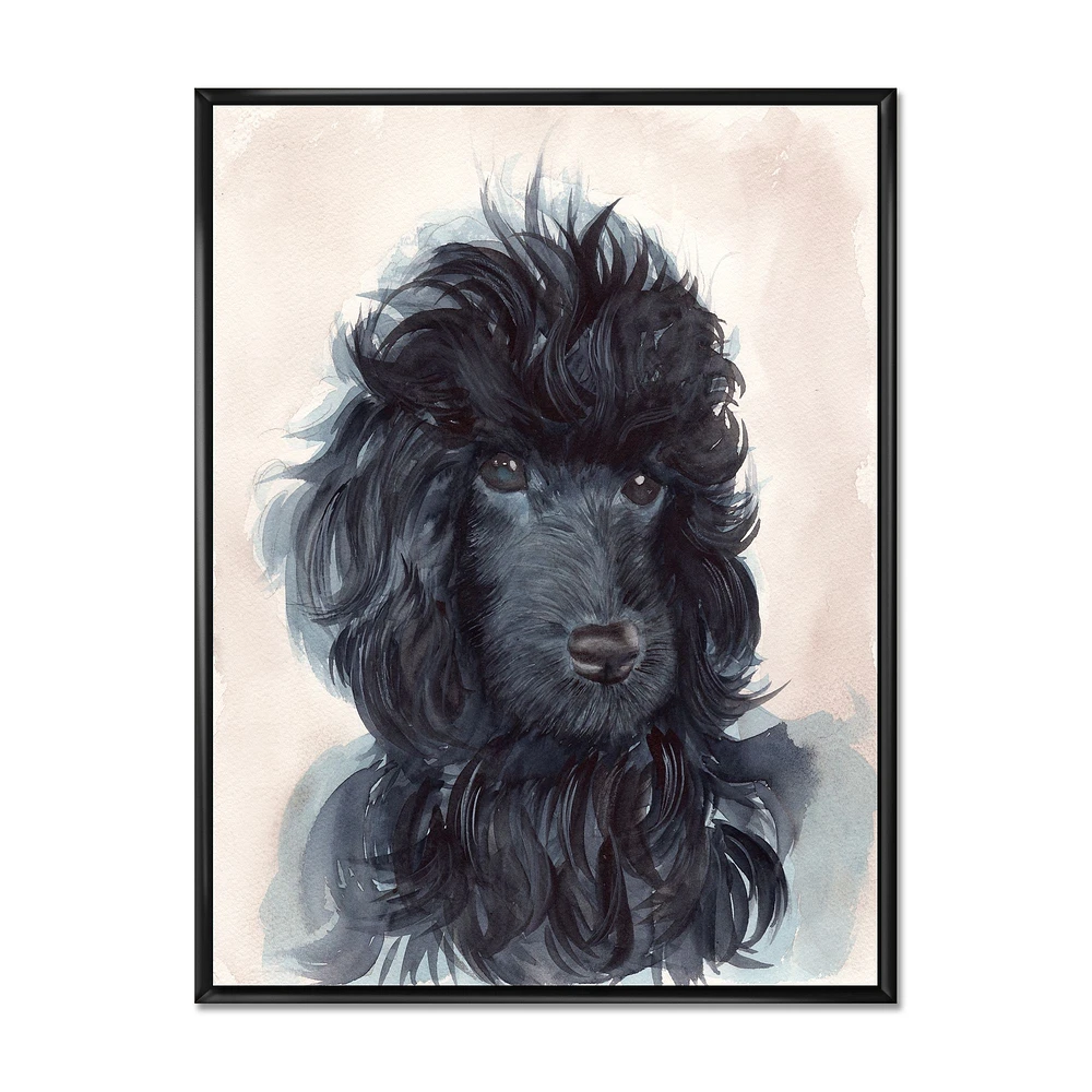 Toile imprimée « Portrait of The Black Poodle Puppy with Curly Coat »