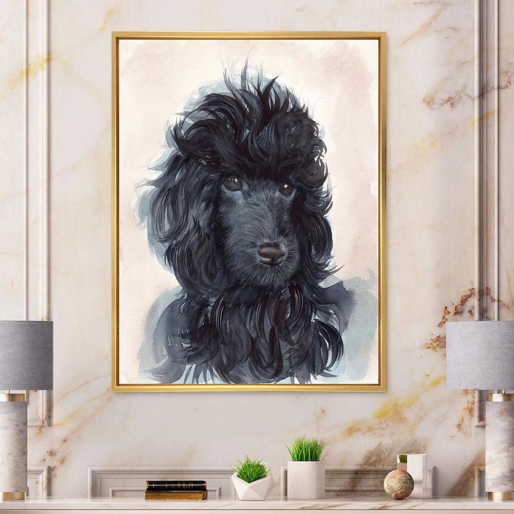 Toile imprimée « Portrait of The Black Poodle Puppy with Curly Coat »