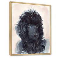 Toile imprimée « Portrait of The Black Poodle Puppy with Curly Coat »