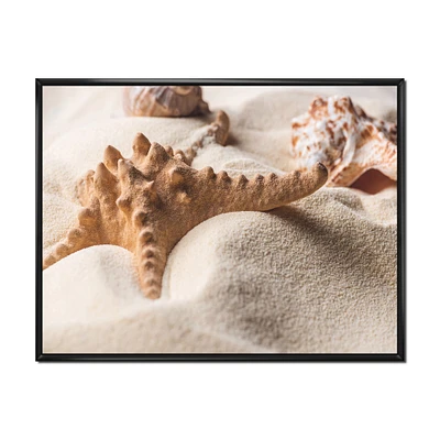 Close Up of Starfish and Seashell on Light Sand Canvas Wall Art Print