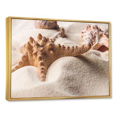 Close Up of Starfish and Seashell on Light Sand Canvas Wall Art Print