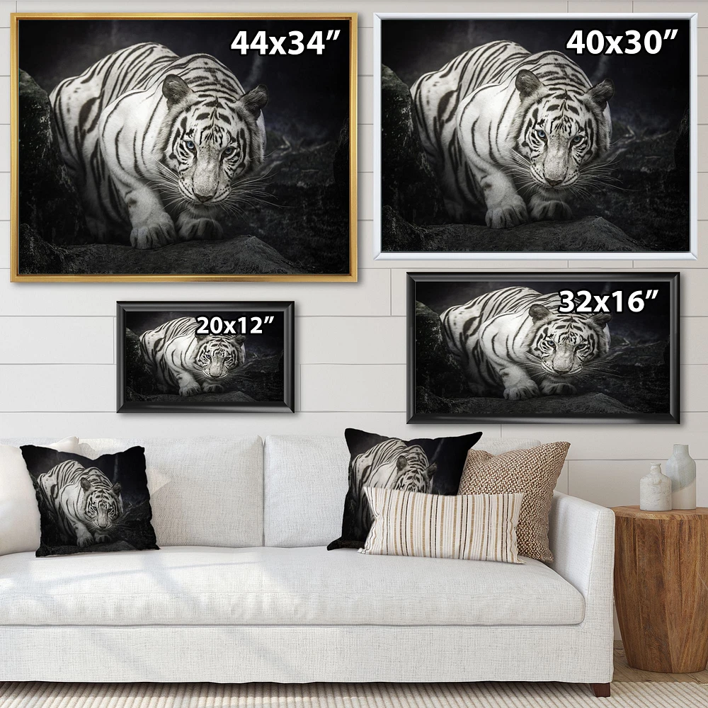 White Tiger  Wall Art