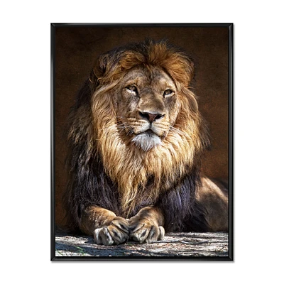 King Lion with Lighted Face  Wall Art