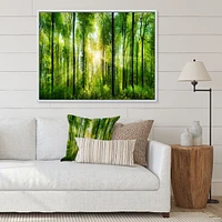 Toile « Forest with Rays of Sun Panorama »