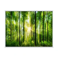 Toile « Forest with Rays of Sun Panorama »