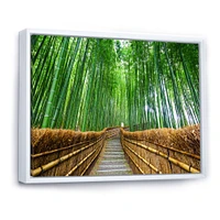 Path to Bamboo Forest  Wall Art