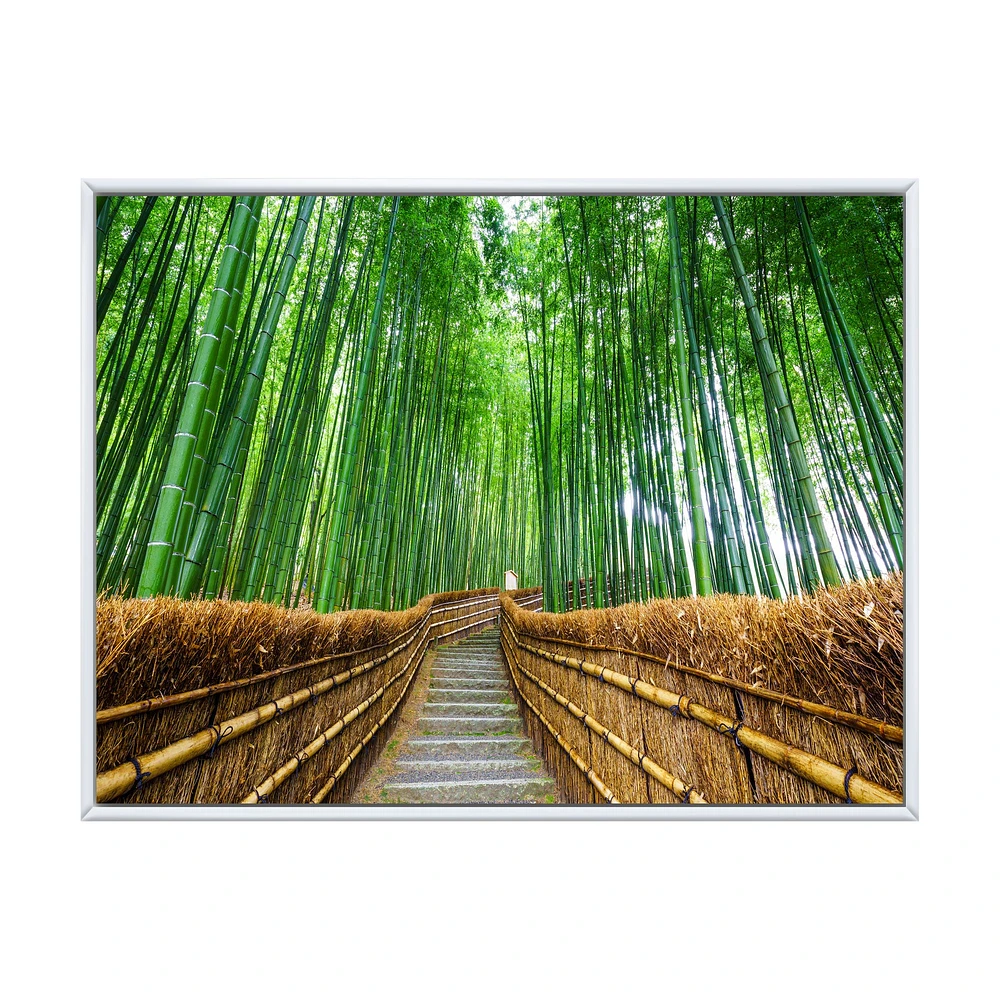 Path to Bamboo Forest  Wall Art