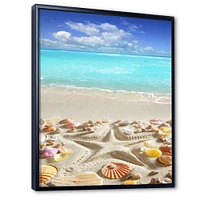 Caribbean Sea Starfish  Canvas Wall Art Print