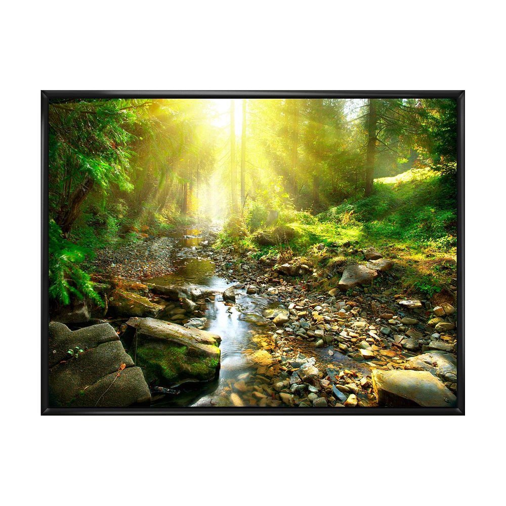 Mountain Stream Forest  Wall Art