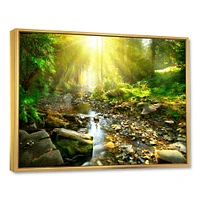 Mountain Stream Forest  Wall Art