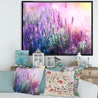 Growing and Blooming Lavender  Canvas Print