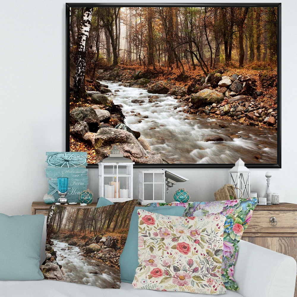 Stream Autumn Forest  Canvas Print