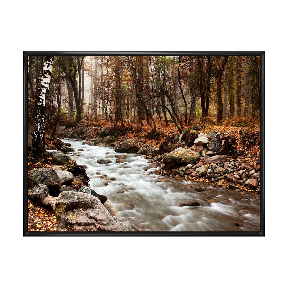 Stream Autumn Forest  Canvas Print