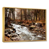 Stream Autumn Forest  Canvas Print