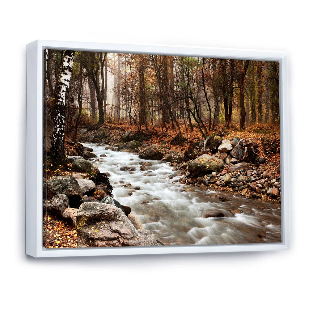 Stream Autumn Forest  Canvas Print